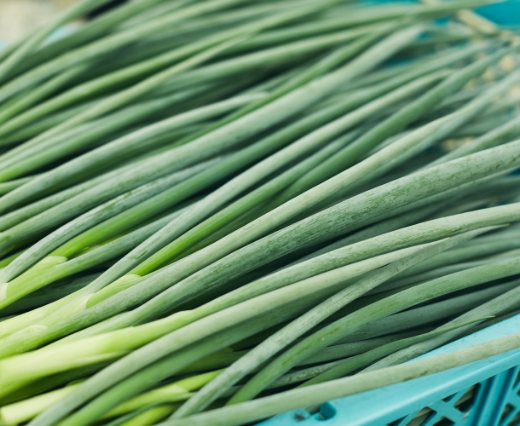 Kujo Negi (green spring onions)