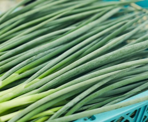 SAMURAI九条ねぎ(バラ)